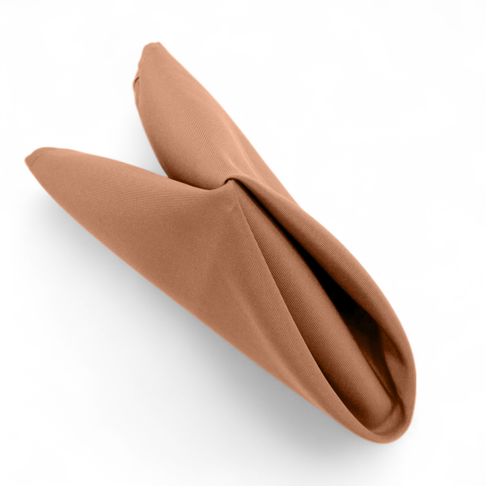 https://cdn.shopify.com/s/files/1/0042/0390/5136/files/PremiumPolyesterLatteRoseNapkin3.png?v=1747316335