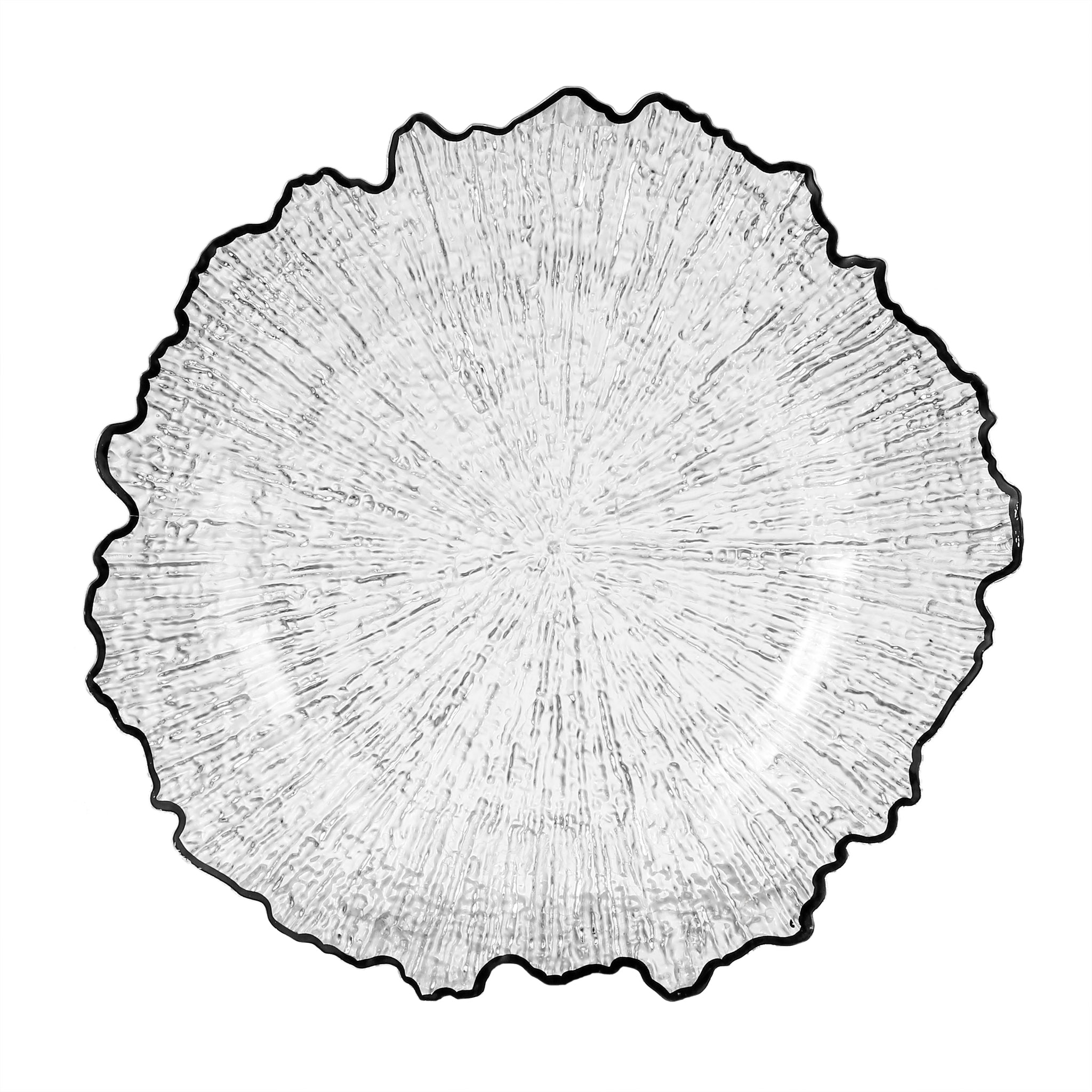 https://cdn.shopify.com/s/files/1/0042/0390/5136/files/ReefAcrylicChargerPlate-ClearBlackTrim_1.jpg?v=1744127108