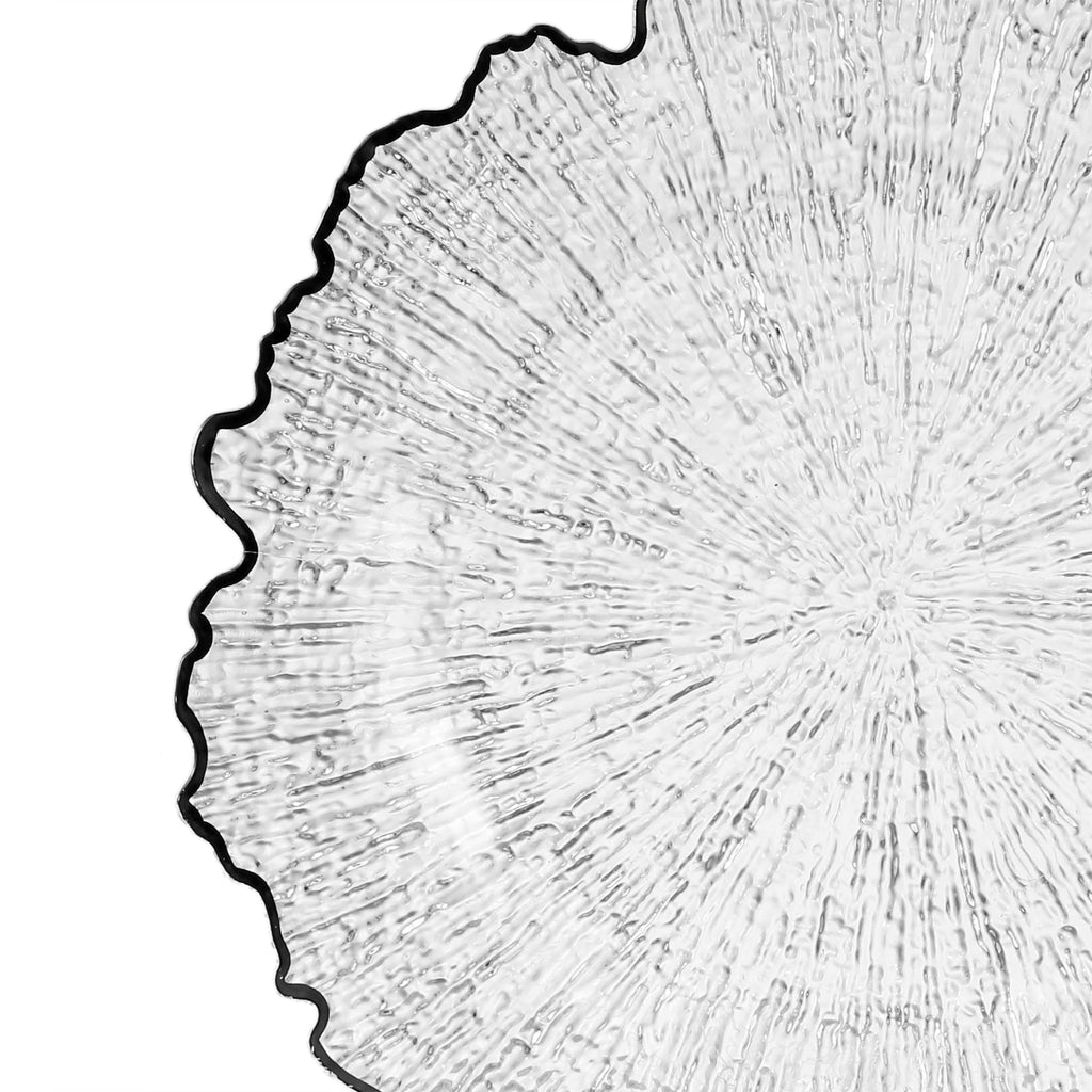 https://cdn.shopify.com/s/files/1/0042/0390/5136/files/ReefAcrylicChargerPlate-ClearBlackTrim_2.jpg?v=1744127108