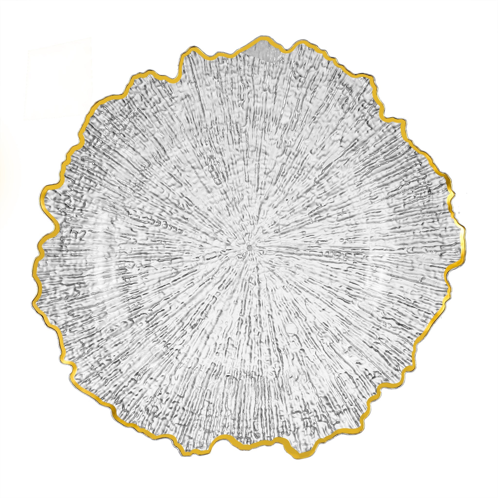 https://cdn.shopify.com/s/files/1/0042/0390/5136/files/ReefAcrylicChargerPlate-ClearGoldTrim_1.jpg?v=1744127127