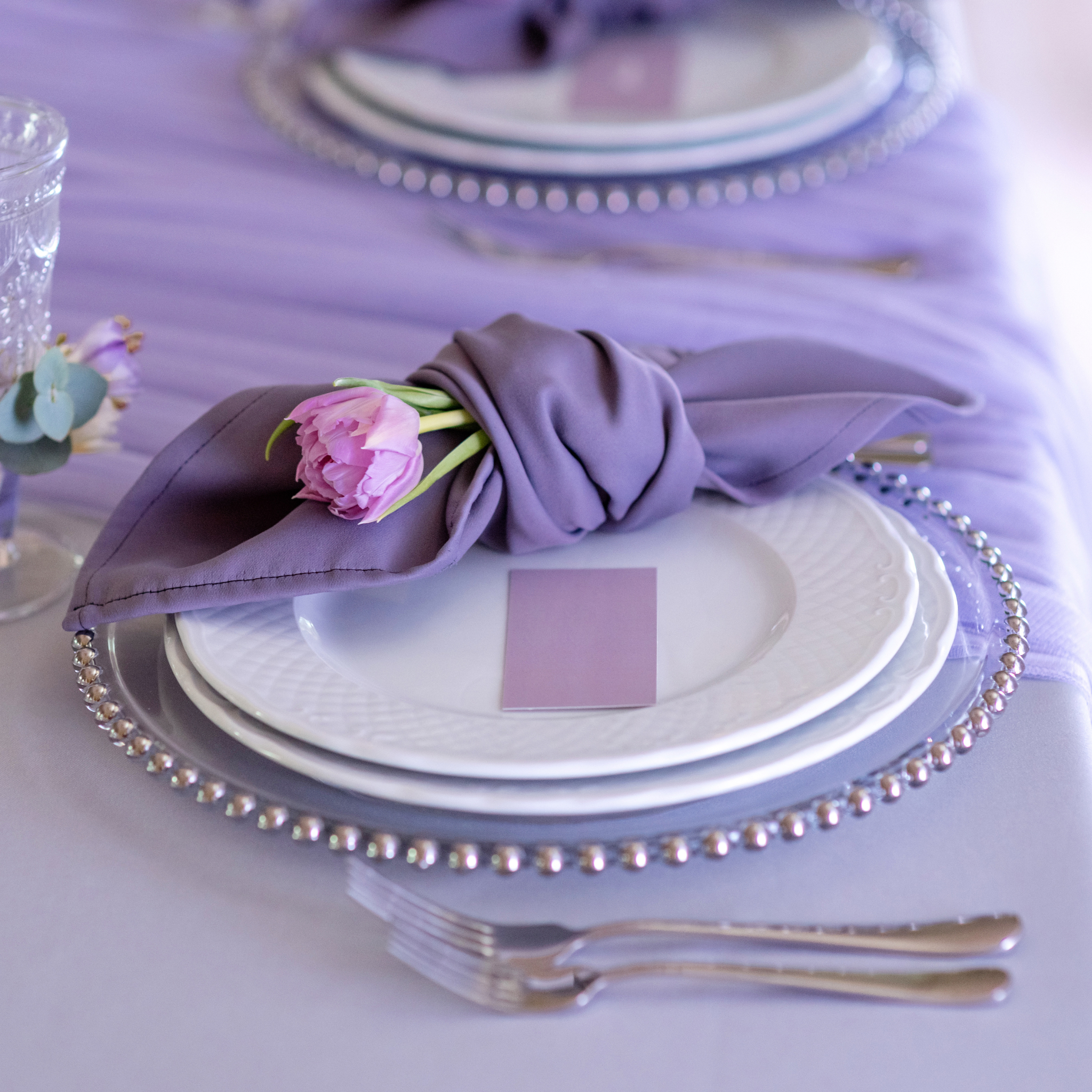 https://cdn.shopify.com/s/files/1/0042/0390/5136/files/Silver-Beaded-Charger-Plate.png?v=1744805592