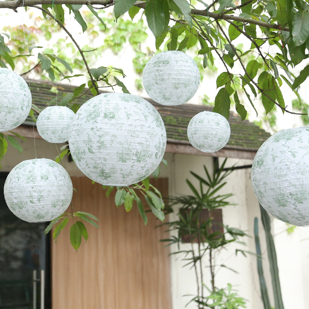 French Toile Floral Hanging Paper Lanterns 6 to 14 in Set of 8 Sage Green