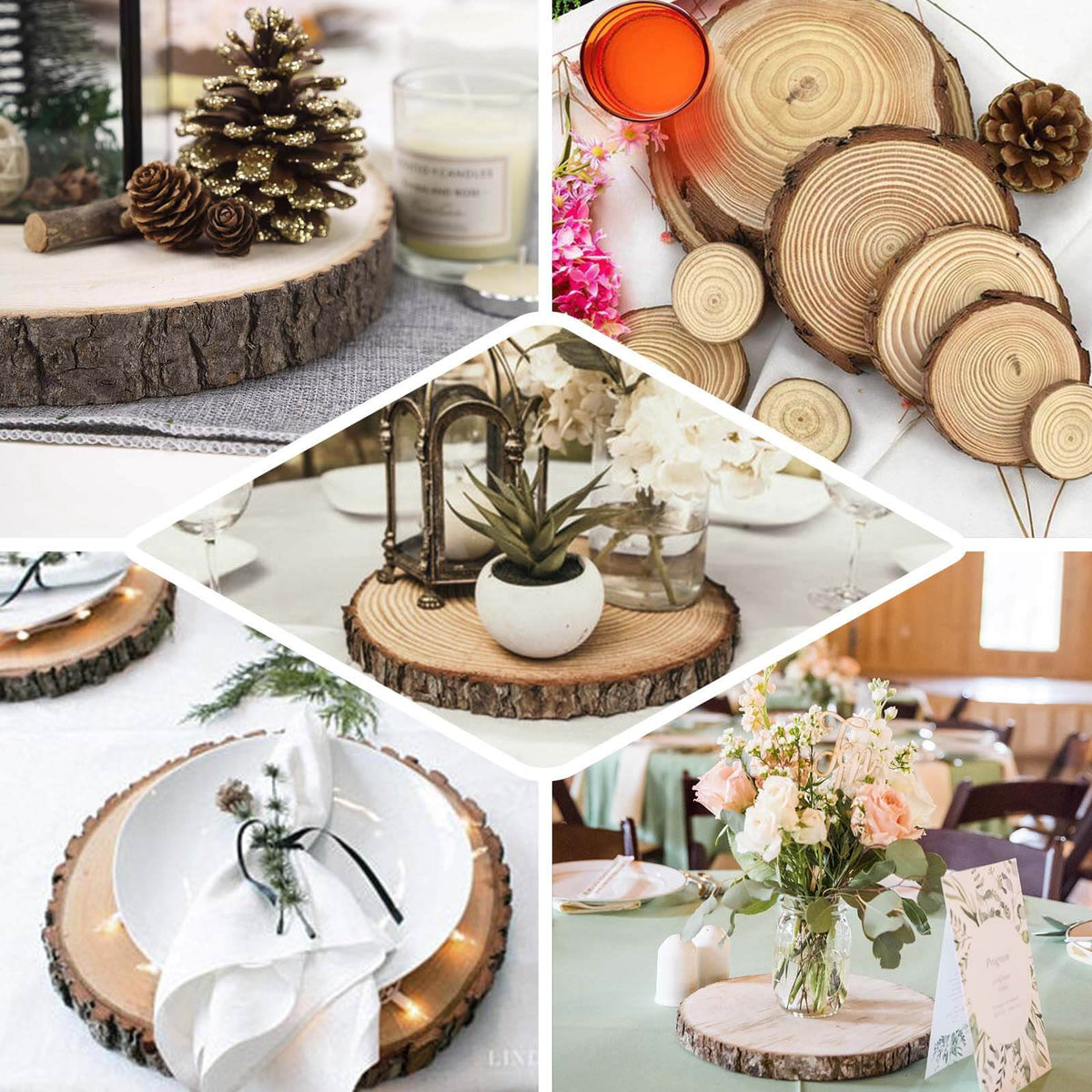 15in Round Bark Edge Poplar Wood Slice Charger Plate