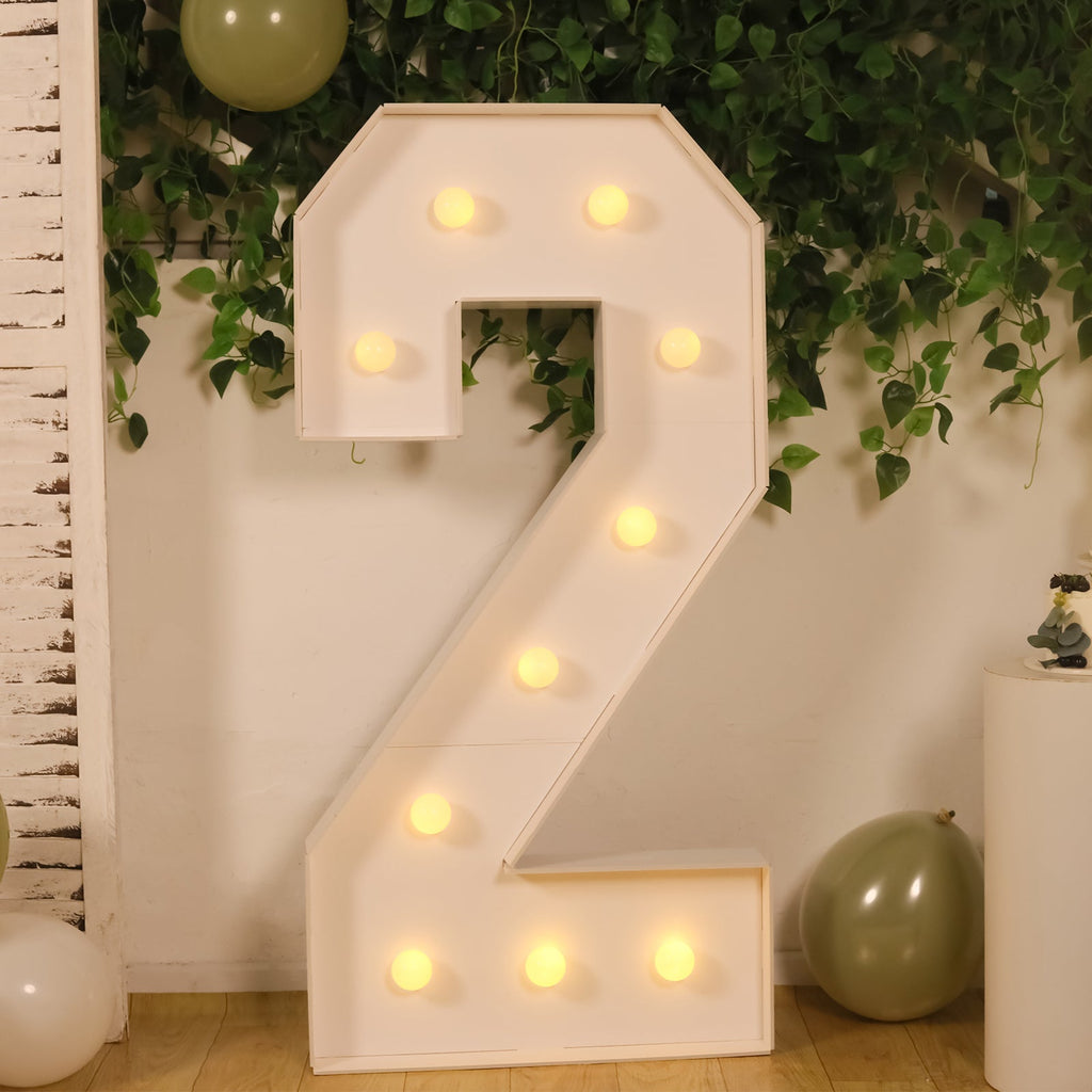 Giant 4ft LED Marquee Light Up Number 2 White Foam Board